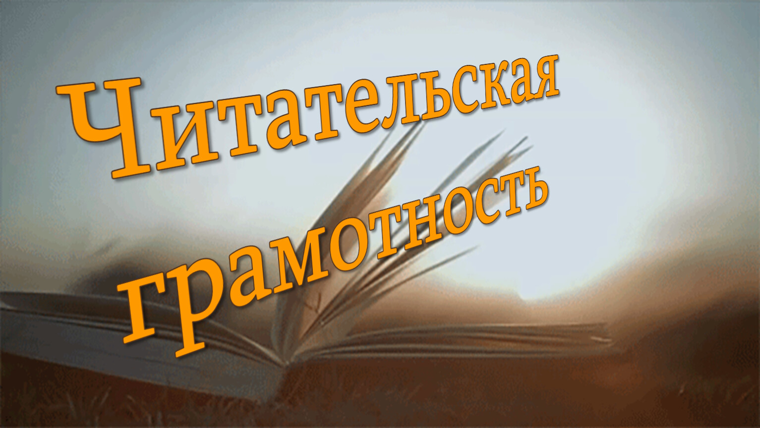 Читательская грамотность.